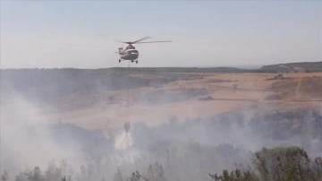 Bozcaada'da tarım arazisinde çıkan yangına müdahale ediliyor