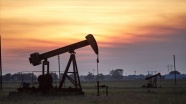 Brent petrolün varili 22,03 dolar