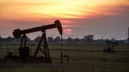 Brent petrolün varili 44,14 dolar