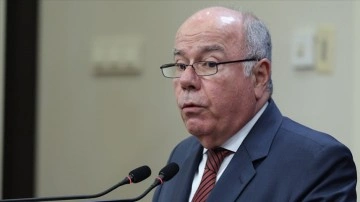 Brezilya Dışişleri Bakanı Vieira, AA'ya değerlendirmelerde bulundu