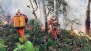 Brezilya'nın Amazonlar'daki yangınla mücadele için kaynağı yok