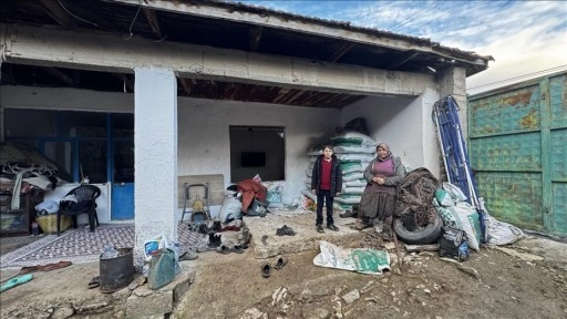 Burdur'da kaçan tosun penceresini kırarak girdiği eve hasar verdi