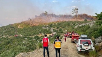 Burdur'daki orman yangını kontrol altına alındı