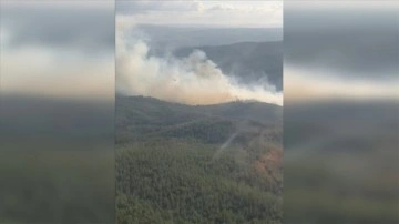 Bursa-Balıkesir il sınırında ormanlık alanda çıkan yangın söndürüldü