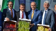 Bursa'dan Hollanda'ya biber ihracatı
