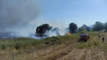 Bursa'da İznik Gölü kıyısındaki sazlık alanda yangın çıktı