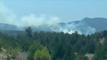 Bursa'da ormanlık alanda çıkan yangına müdahale ediliyor