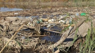 Büyük Menderes Nehri'ndeki kirlilik araştırılıyor