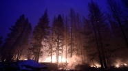 California&#039;daki yangında yok olan ormanlık alan 210 bin hektara yaklaştı