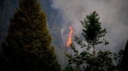 Californiya&#039;daki yangınlar için &#039;büyük afet&#039; ilanı talep edildi