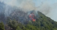 Çanakkale'de ikinci orman yangını