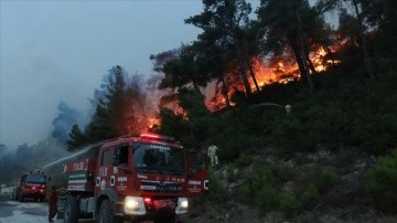 Çanakkale'de çıkan orman yangınına müdahale ediliyor