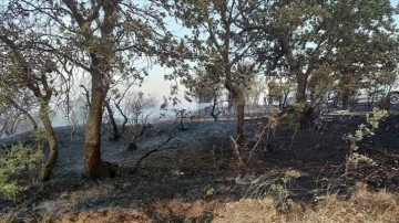 Çanakkale'de tarım arazisinde çıkan yangın kontrol altına alındı