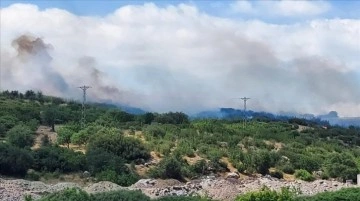 Çanakkale'de zirai alan ve orman yangınları kontrol altına alındı