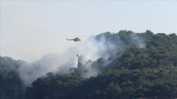 Çanakkale'nin Ayvacık ilçesindeki orman yangınına müdahale ediliyor