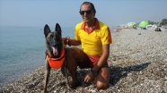 Cankurtaran köpeği 'Fox' Konyaaltı sahilinde göreve başladı