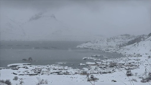 Çat Barajı'ndaki "yüzen adalar" dondu