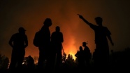 Cezayir&#039;de 14 vilayette 31 ayrı noktada çıkan orman yangınlarında 4 kişi hayatını kaybetti