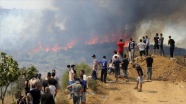 Cezayir&#039;deki orman yangınlarında hayatını kaybedenlerin sayısı 69&#039;a yükseldi