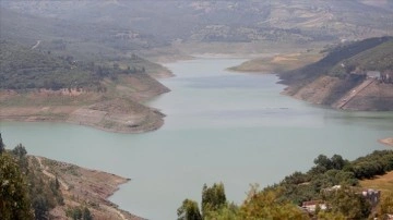 Cezayir için bir kez daha "kuraklık çanları" çalmaya başladı