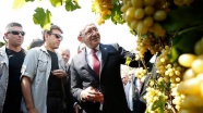 CHP Genel Başkanı Kılıçdaroğlu üzüm bağı gezdi
