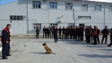 Çorum Belediyesi afetler için arama kurtarma köpeği yetiştiriyor