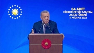 Cumhurbaşkanı Erdoğan: Büyükbaş hayvanlarda yüzde 30-35 gibi bir indirimle satışa başlayacağız