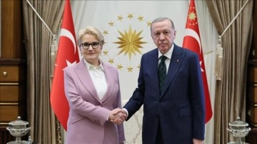 Cumhurbaşkanı Erdoğan, İYİ Parti eski Genel Başkanı Akşener'i kabul etti