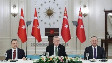 Cumhurbaşkanı Erdoğan’ın AB Büyükelçileri ile buluşmasında Ermenistan vurgusu -Nərmin Novruzova, Azerbaycan'dan yazıyor-