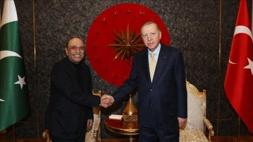 Cumhurbaşkanı Erdoğan, Pakistan Cumhurbaşkanı Zardari ile görüştü