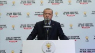 Cumhurbaşkanı Erdoğan: Rejim çekilmezse şubat ayı bitmeden bu işi yapacağız