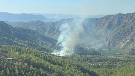 Dalaman'da çıkan orman yangınına müdahale ediliyor