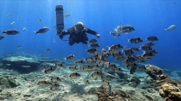 Dalıştaki yeni teknolojiler, dalgıçların derinlerdeki konforunu artıyor