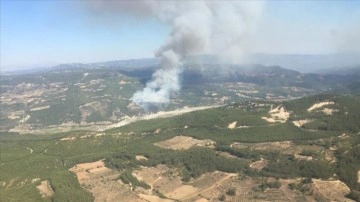 Denizli-Muğla sınırında orman yangını çıktı