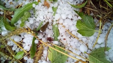 Denizli'de dolu yağışı etkili oldu