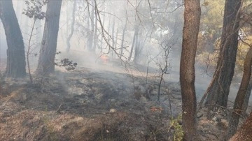 Denizli'nin Buldan ilçesinde orman yangını çıktı