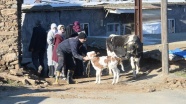 Depremde hayvanları telef olan vatandaşlara hayvan ve yem desteği