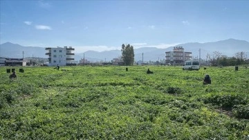 Depremzede çiftçiye yaklaşık 5 milyar liralık destek sağlandı