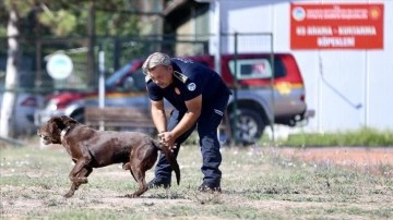 Depremzede itfaiyeci, enkazdan çıkmasını sağlayan arama kurtarma köpekleriyle hayat kurtarıyor