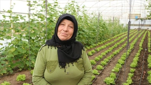 Devlet desteğiyle seracı olan kadın yetiştirdiği ürünleri müşterilerine satıyor