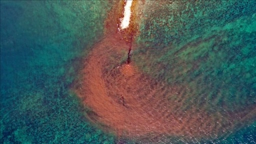 Didim'de kirli suyun arıtılmadan denize boşaltıldığı ihbarına inceleme