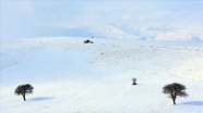 Doğu Anadolu'da üç ilde 179 yerleşim birimine ulaşım sağlanamıyor