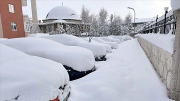 Doğu Anadolu'da ilkbaharda yoğun kar etkili oldu