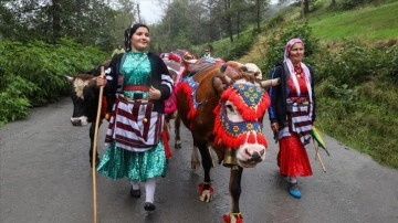 Doğu Karadeniz yaylalarında besicilerin dönüş yolculuğu başladı