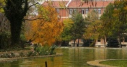 Dünyanın dört bir yanından bitkiler ‘Anadolu Arboretum’da buluştu