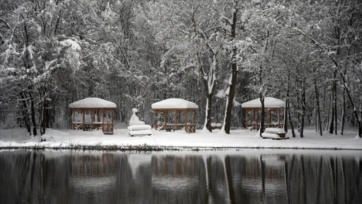 Düzce'de Korugöl Tabiat Parkı karla kaplandı