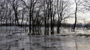 Edirne'de Tunca Nehri kenarındaki tarlalar soğuk nedeniyle buz tuttu