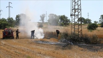 Edirne'de anız alanında başlayıp meyve bahçesine sıçrayan yangın söndürüldü