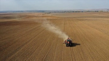 Edirne'de buğday ekimi başladı