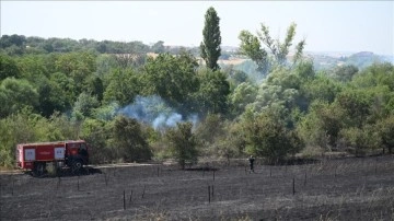 Edirne'de üniversitenin botanik bahçesinde çıkan yangın söndürüldü